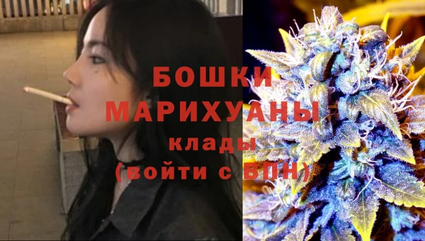 МДПВ Богородск