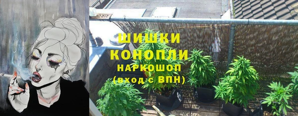 шишки Бугульма