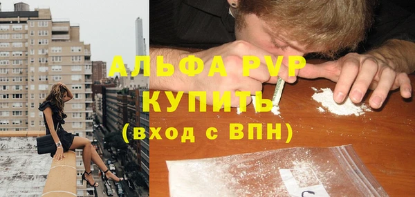мяу мяу мука Бородино