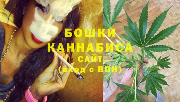 шишки Бугульма