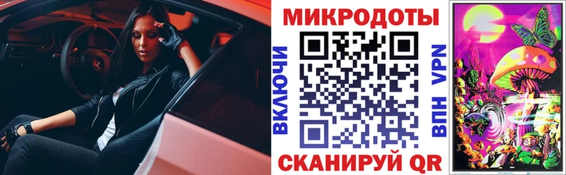 OMG маркетплейс  Губаха  Псилоцибиновые грибы Psilocybe 